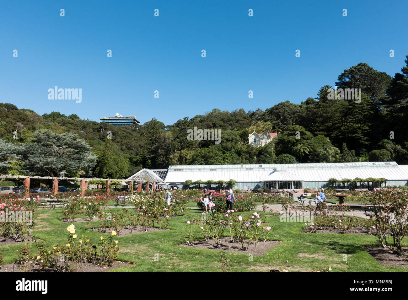 Lady Norwood Rose Garden and Begonia House, Wellington Botanic Gardens in autumn, Wellington, New Zealand Stock Photo