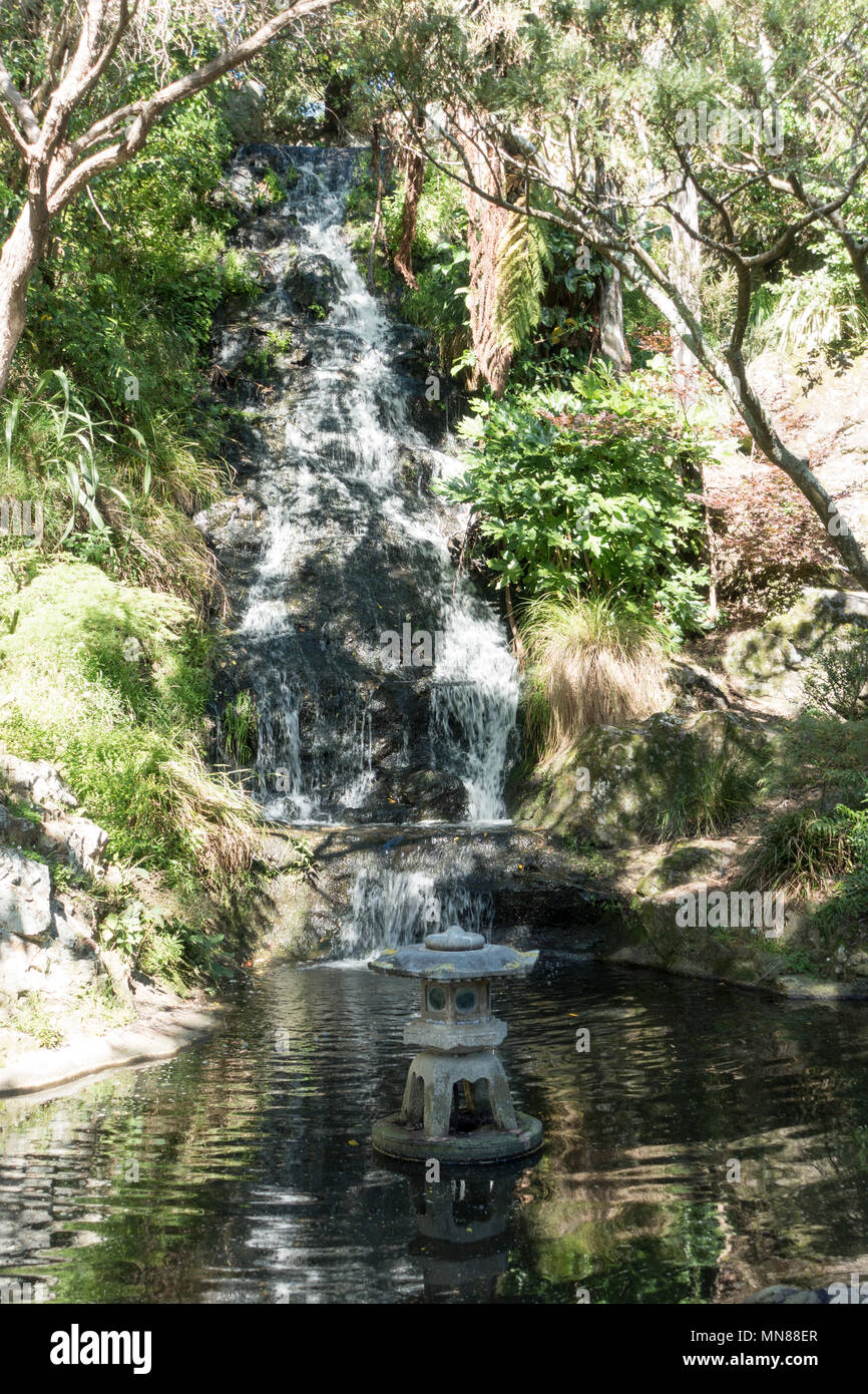 Waterfall, Wellington Botanic Gardens in autumn, Wellington, New Zealand Stock Photo