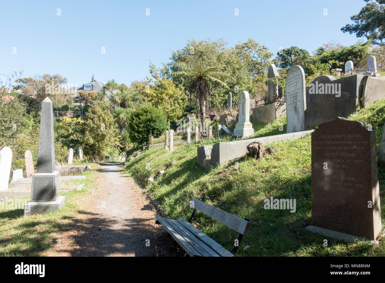 Bolton Street Cemetery, Wellington Stock Photo
