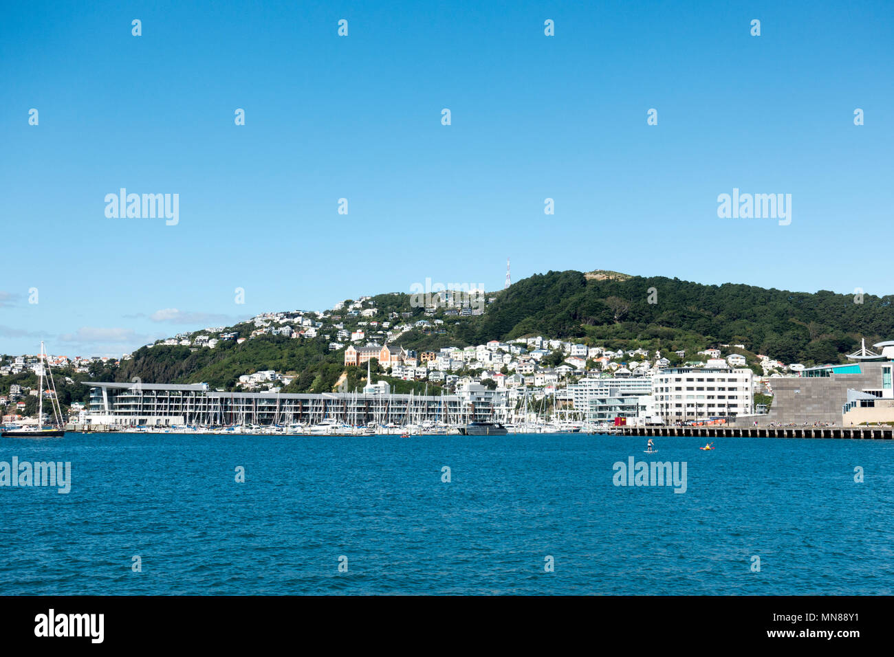 Wellington Harbour on a bright sunny autumn day in Wellington, New Zealand Stock Photo