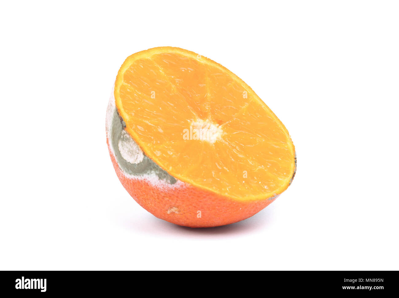 Moldy orange isolated on a white background Stock Photo Alamy