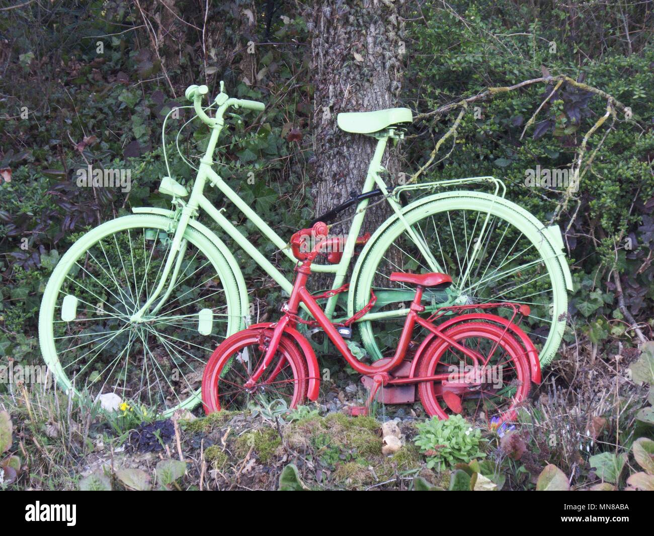Big and small colorful bicycle stand on a tree Stock Photo