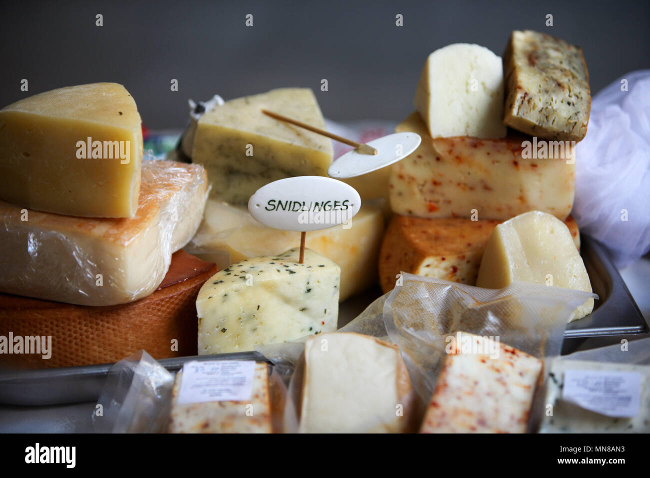 Choices of Cheese Stock Photo