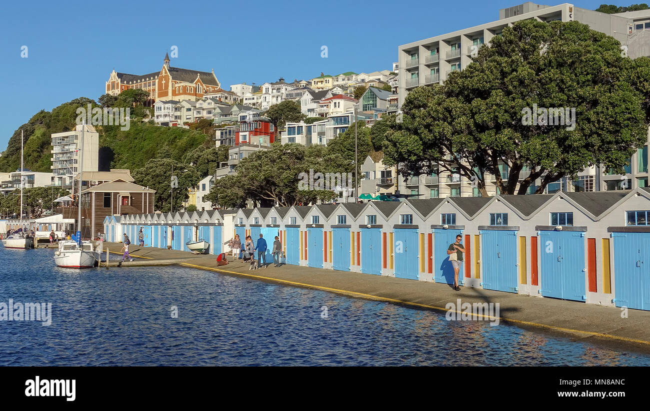 A sunny autumn day at the boat sheds at Oriental Bay, Wellington, New Zealand Stock Photo