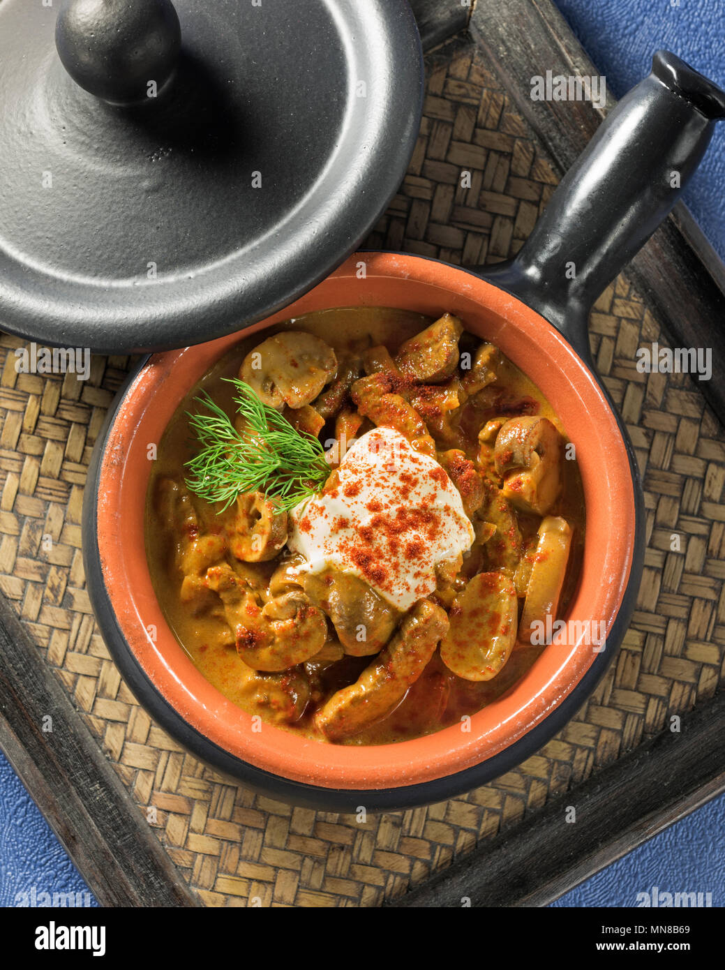 Beef Stroganoff. Russian origin dish of beef in sour cream sauce Stock