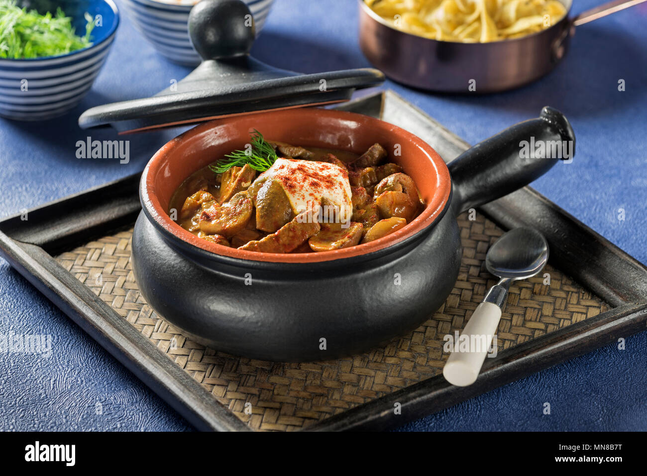 Beef Stroganoff. Russian origin dish of beef in sour cream sauce Stock