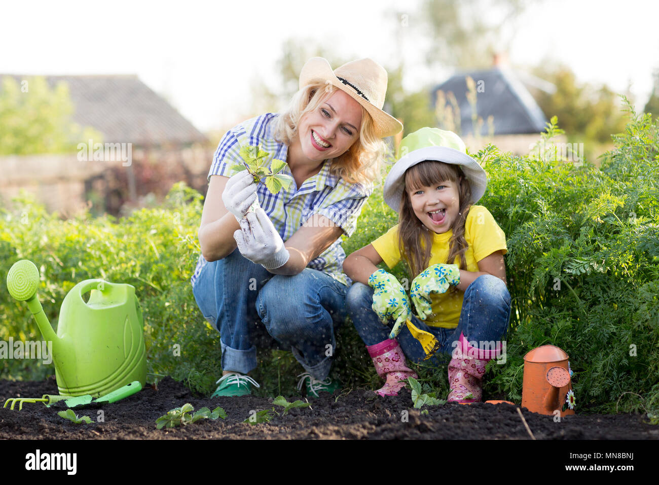Mother and daughter planting strawberry seedlings in summer time Stock Photo