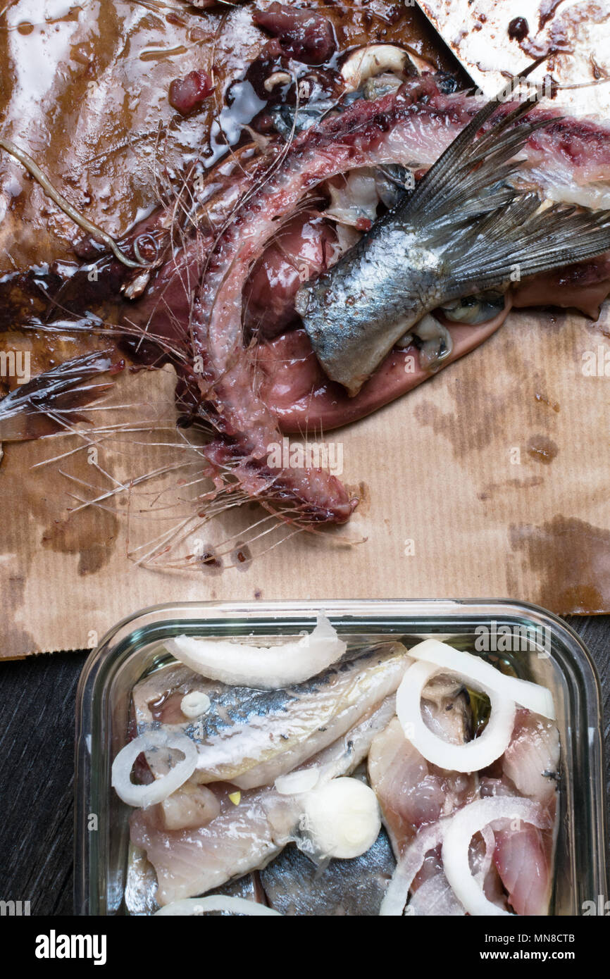 raw fresh herring and giblets in the paper bag, preparation to salt