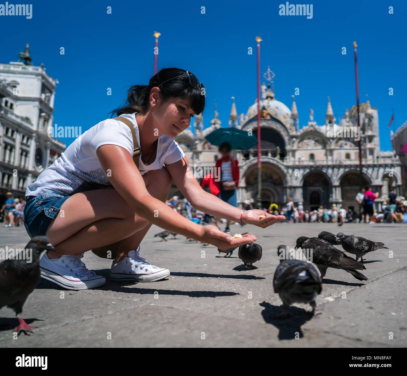 Woman tourist feeding pigeons in the square St. Marks Square Venice Italy Stock Photo Alamy