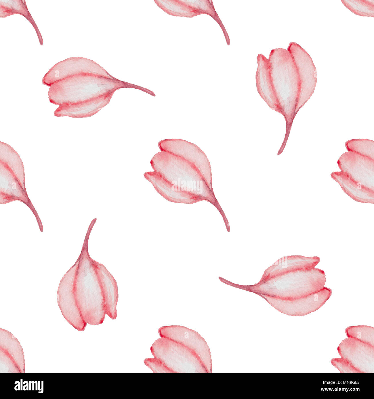 Hand drawn watercolor seamless pattern with red flowers on a white ...