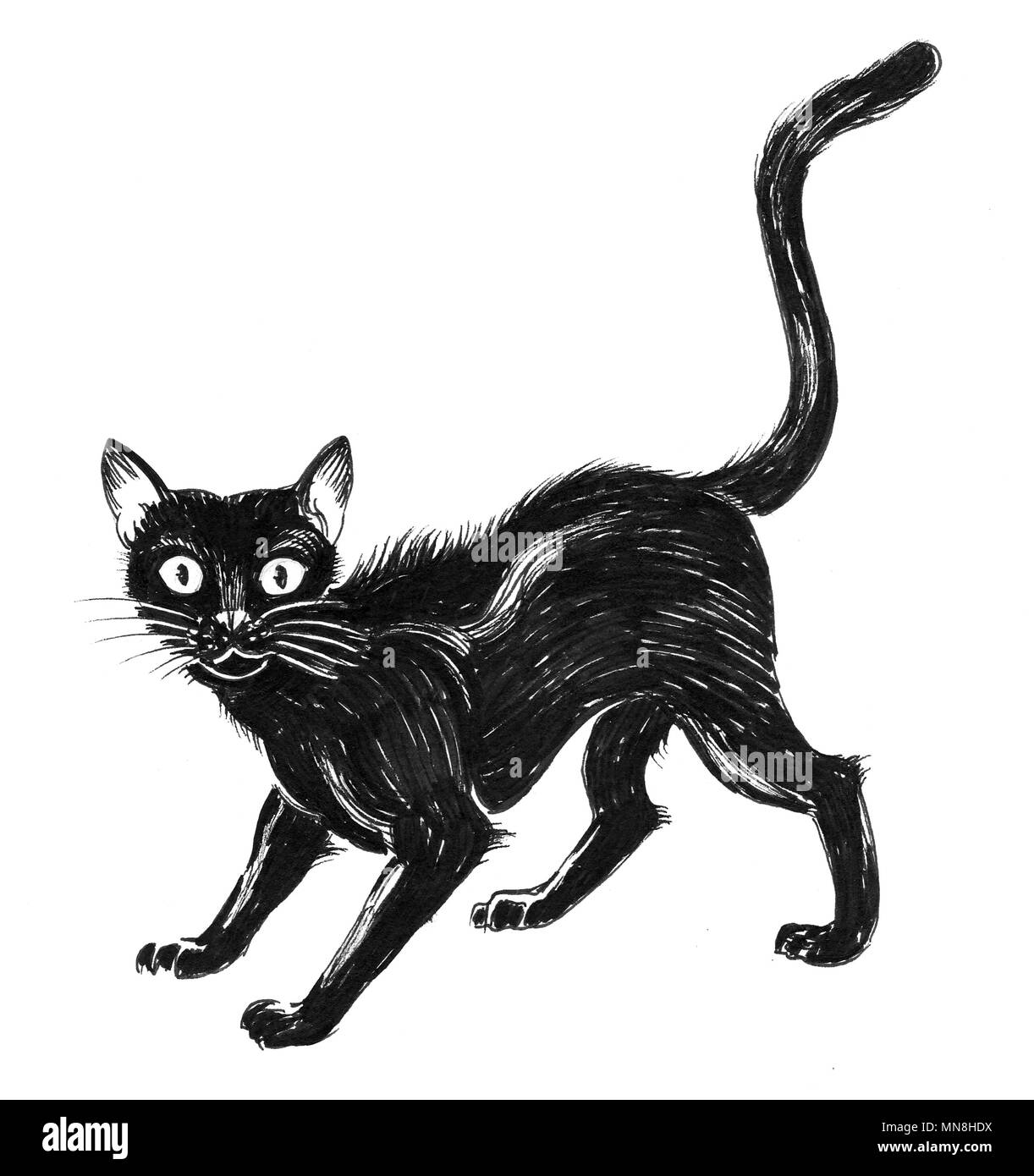 Frightened black cat. Ink illustration Stock Photo - Alamy