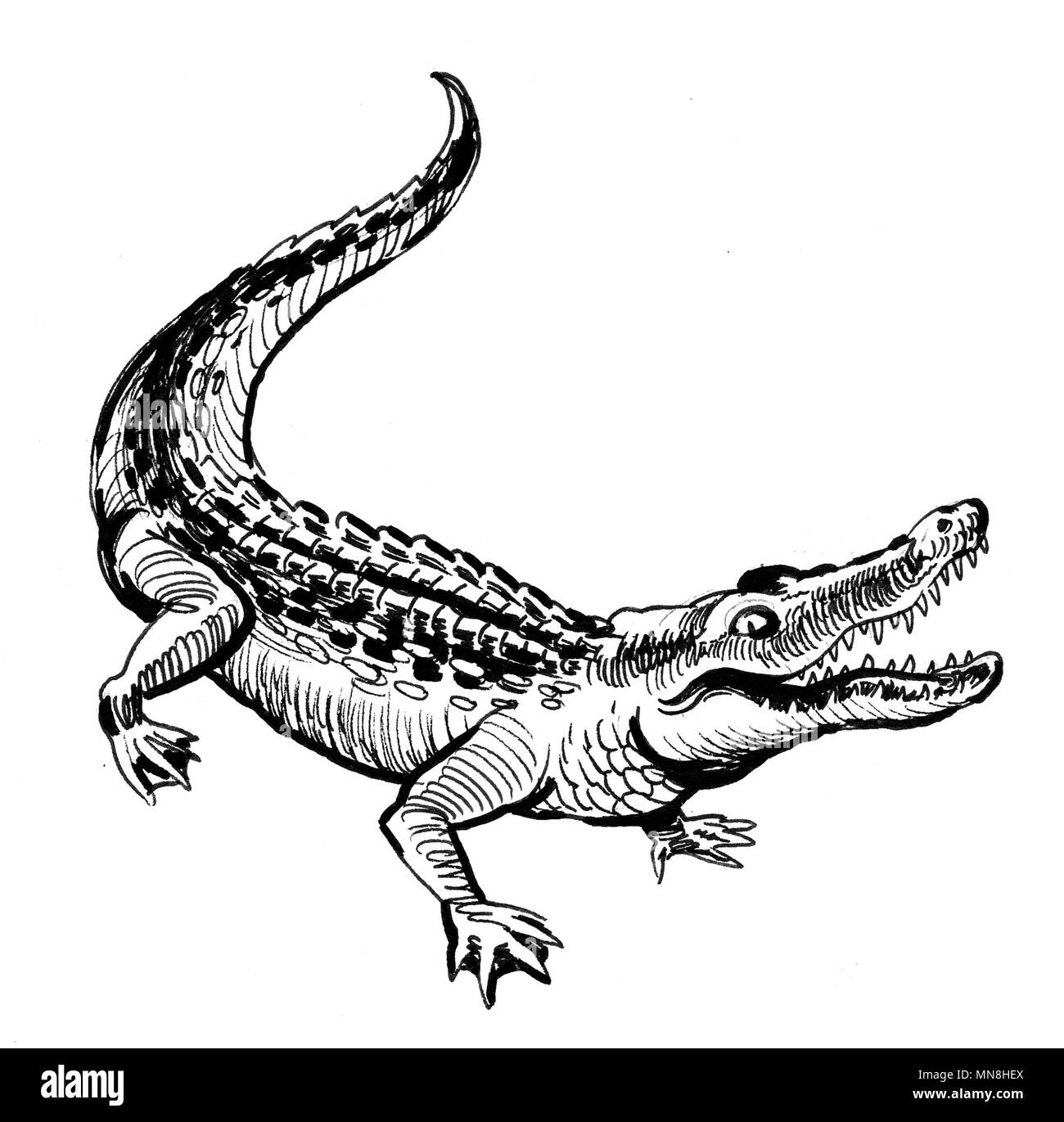 How to Draw Crocodile, Wild Animals