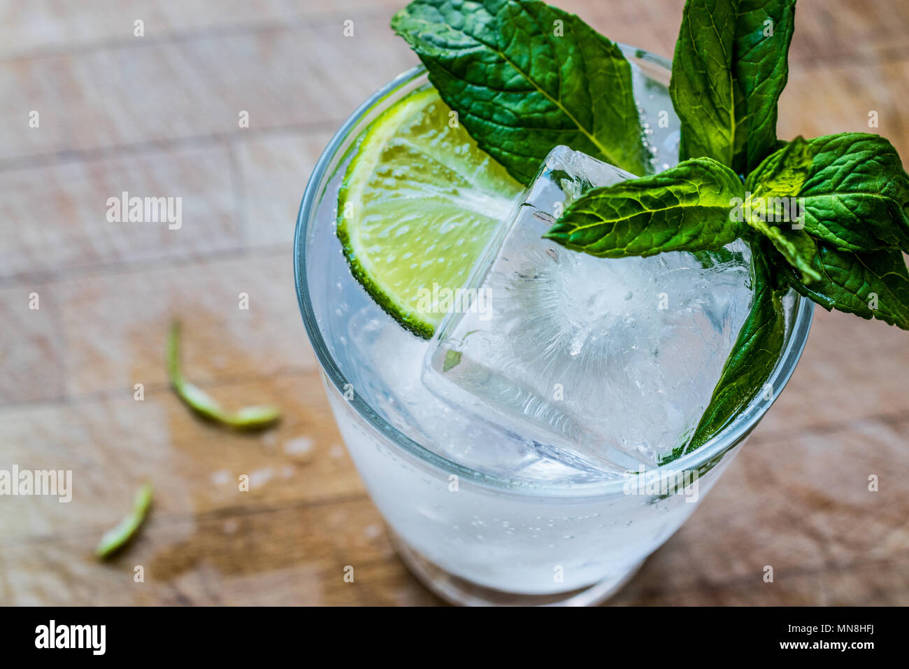 Vodka or Gin Tonic Cocktail with lime, mint leaves and ice. Beverage