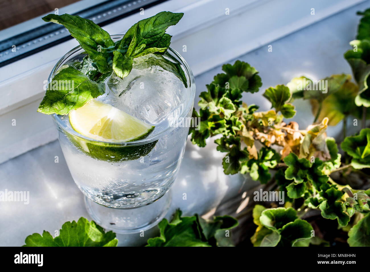 Vodka or Gin Tonic Cocktail with lime, mint leaves and ice at the
