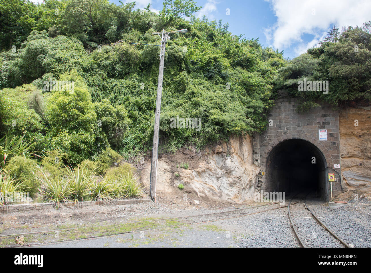 Old railway tunnel through rocky hillside with lush greenery in Port