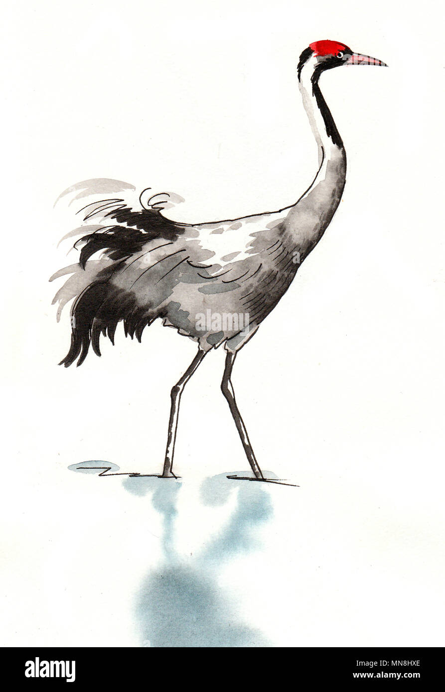 8100 Crane Bird Illustrations RoyaltyFree Vector Graphics  Clip Art   iStock  Crane bird vector Crane bird silhouette Crane bird logo