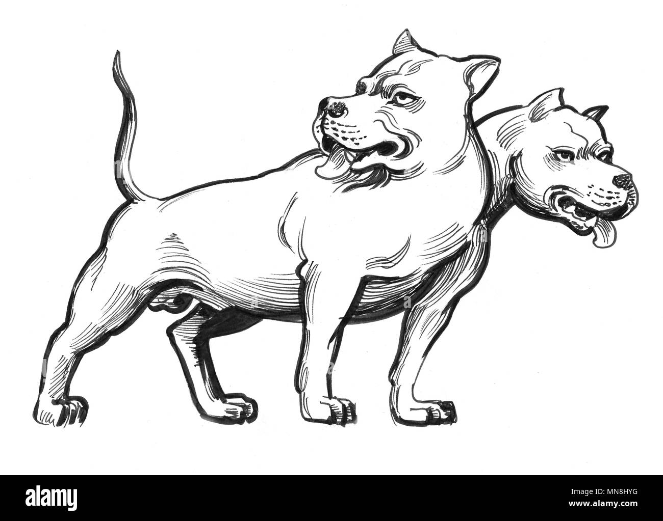 Cerberus dog. Ink black and white illustration Stock Photo