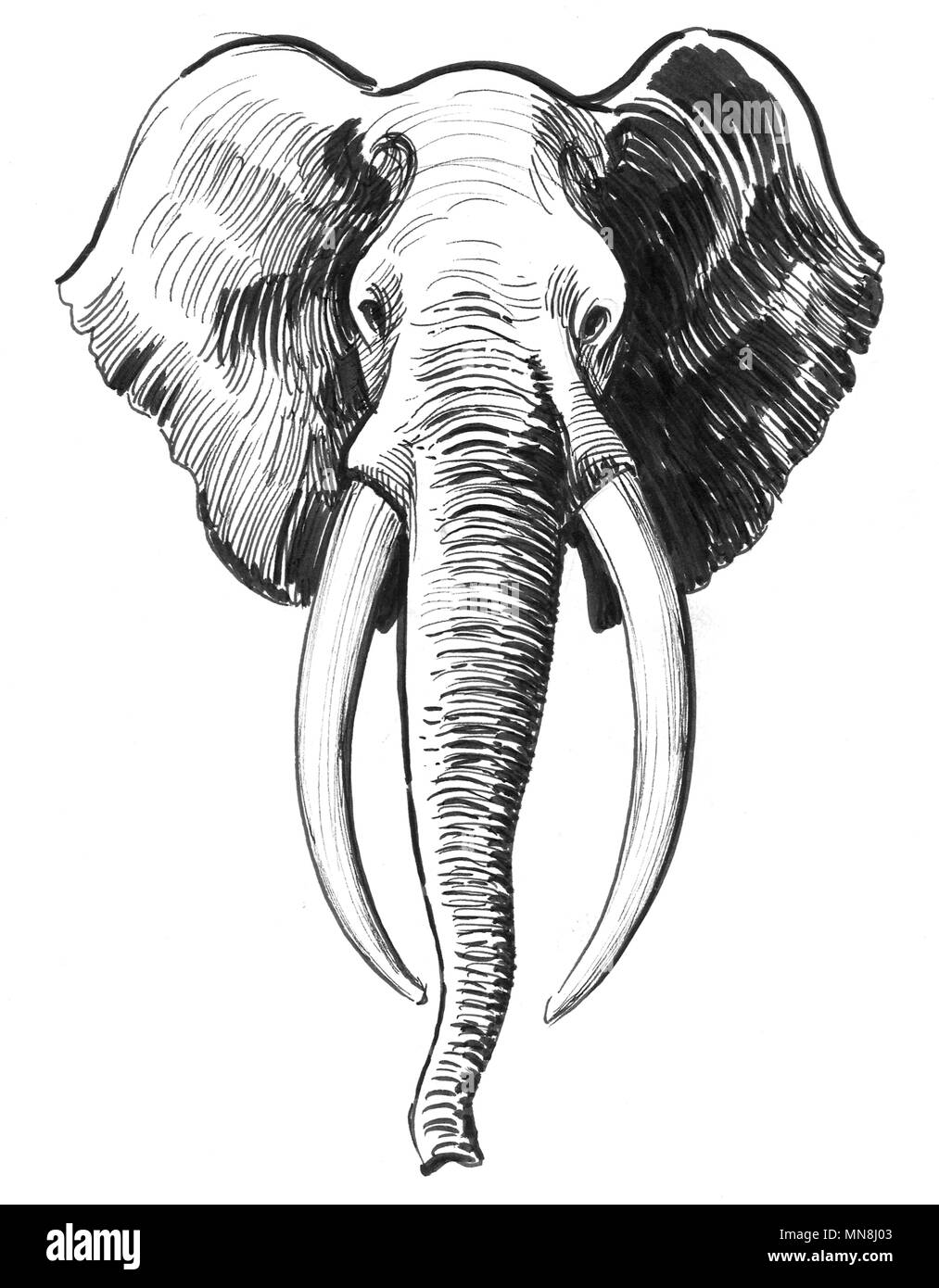 Elephant Watercolor Black And White Stock Photos & Images - Alamy