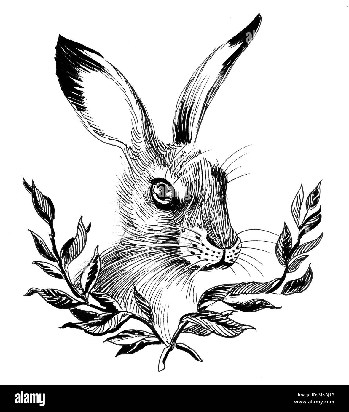 Hare drawing Cut Out Stock Images & Pictures Alamy