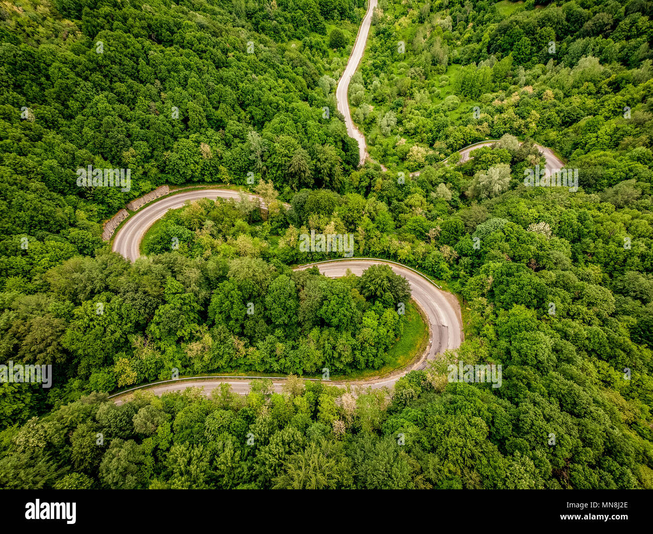 Extreme winding highway in the forest Stock Photo