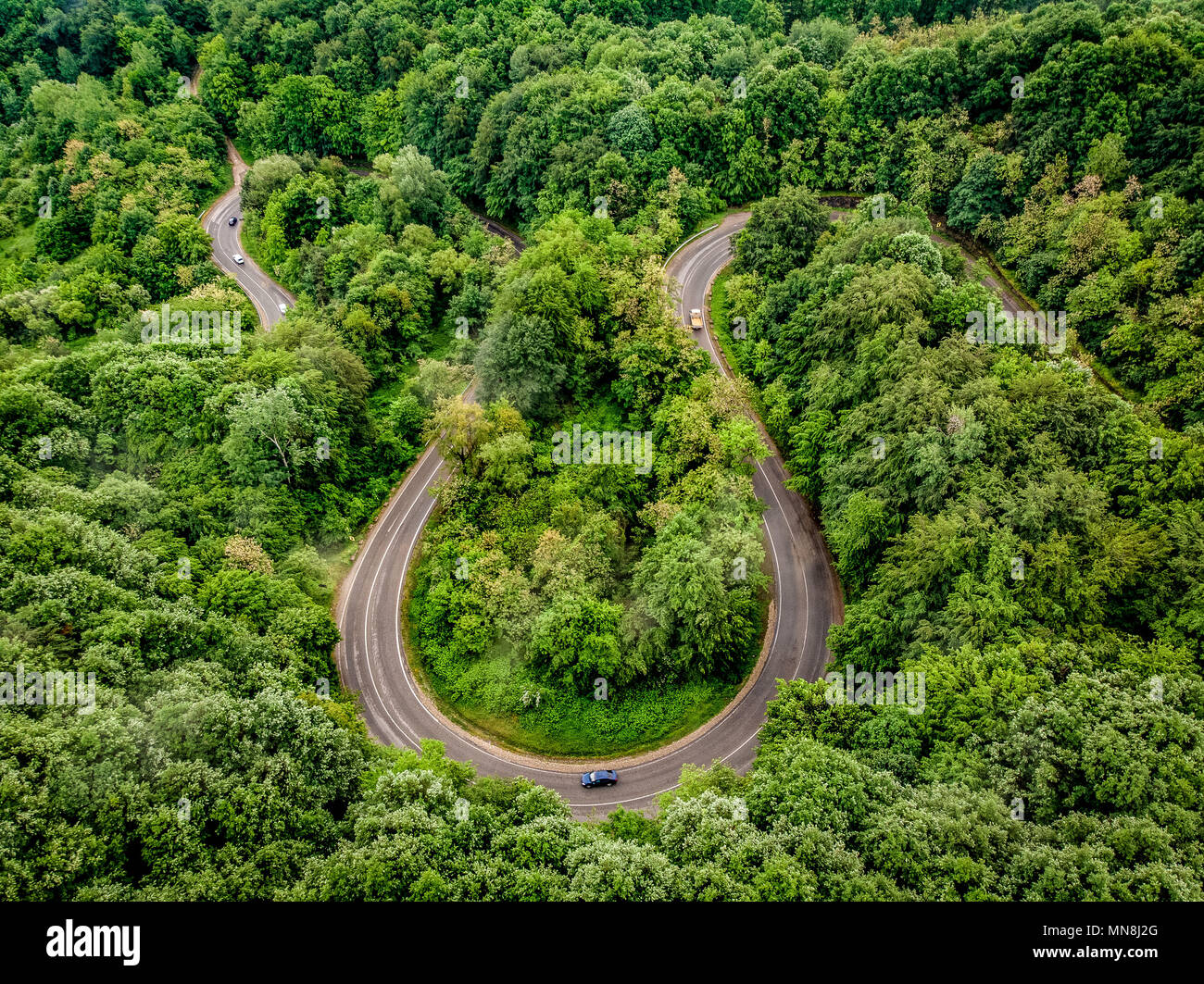 Car passing on an extreme winding road in the forest, aerial view Stock Photo