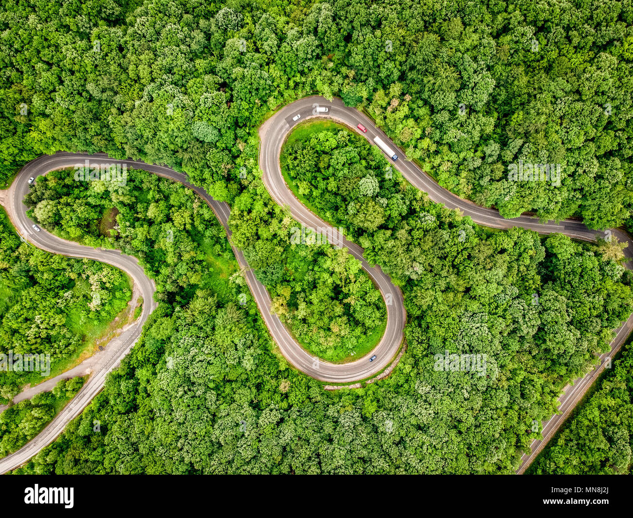 Cars on winding road trough the forest aerial view Stock Photo
