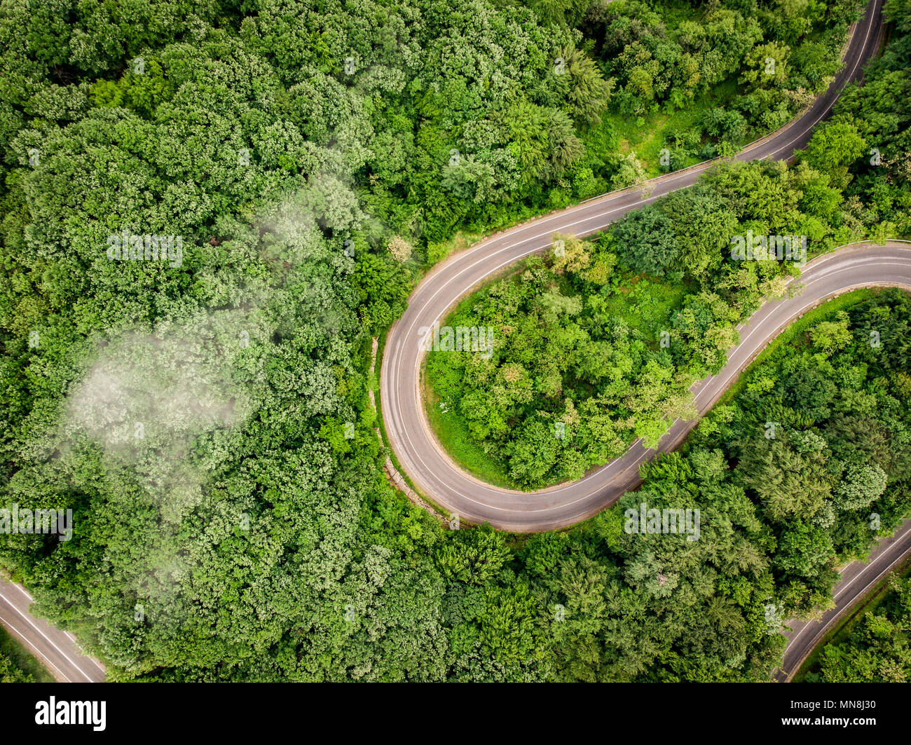 Winding road in the forest aerial view from a drone Stock Photo