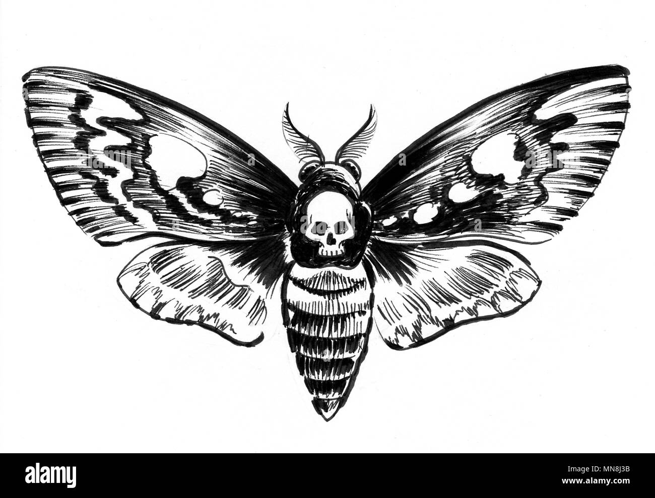 110 Best Moth Tattoo ideas  moth tattoo tattoos tattoo designs