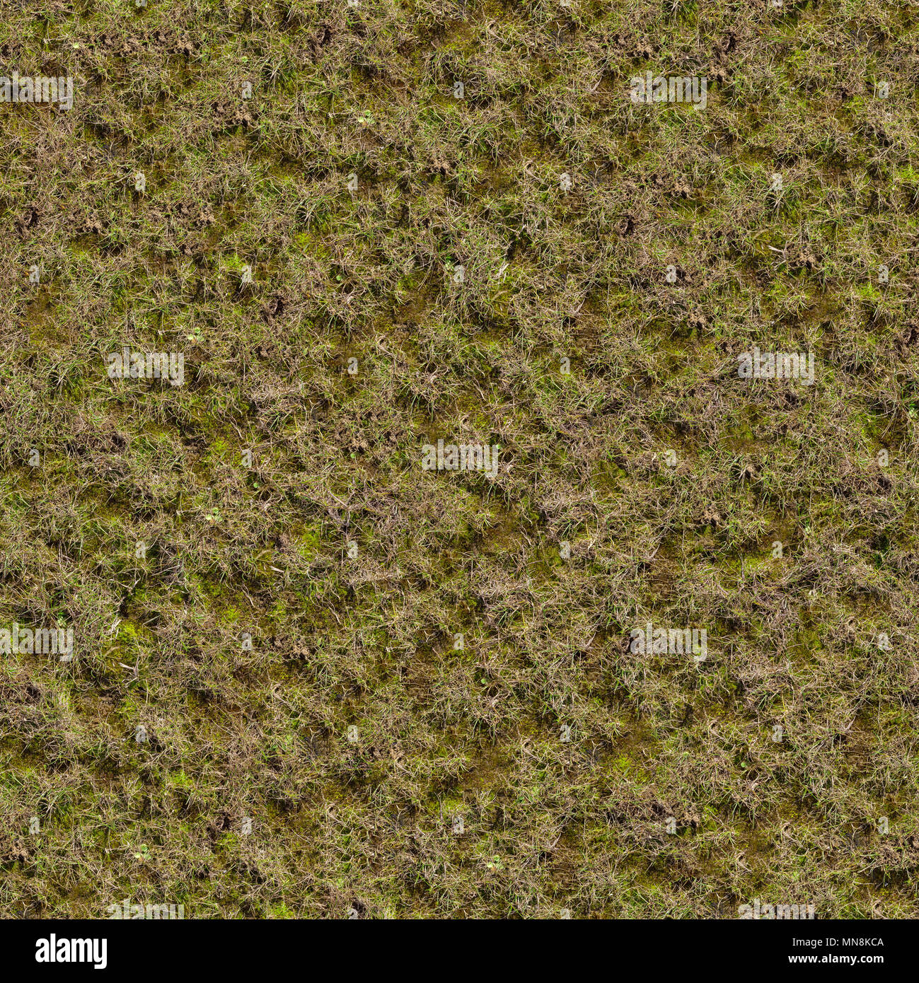 Grass with Moss. Seamless Texture. Stock Photo