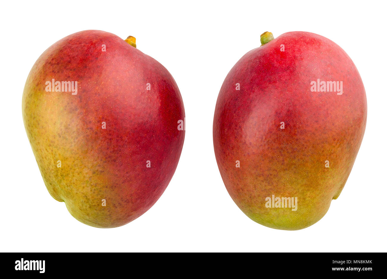 mango path isolated Stock Photo