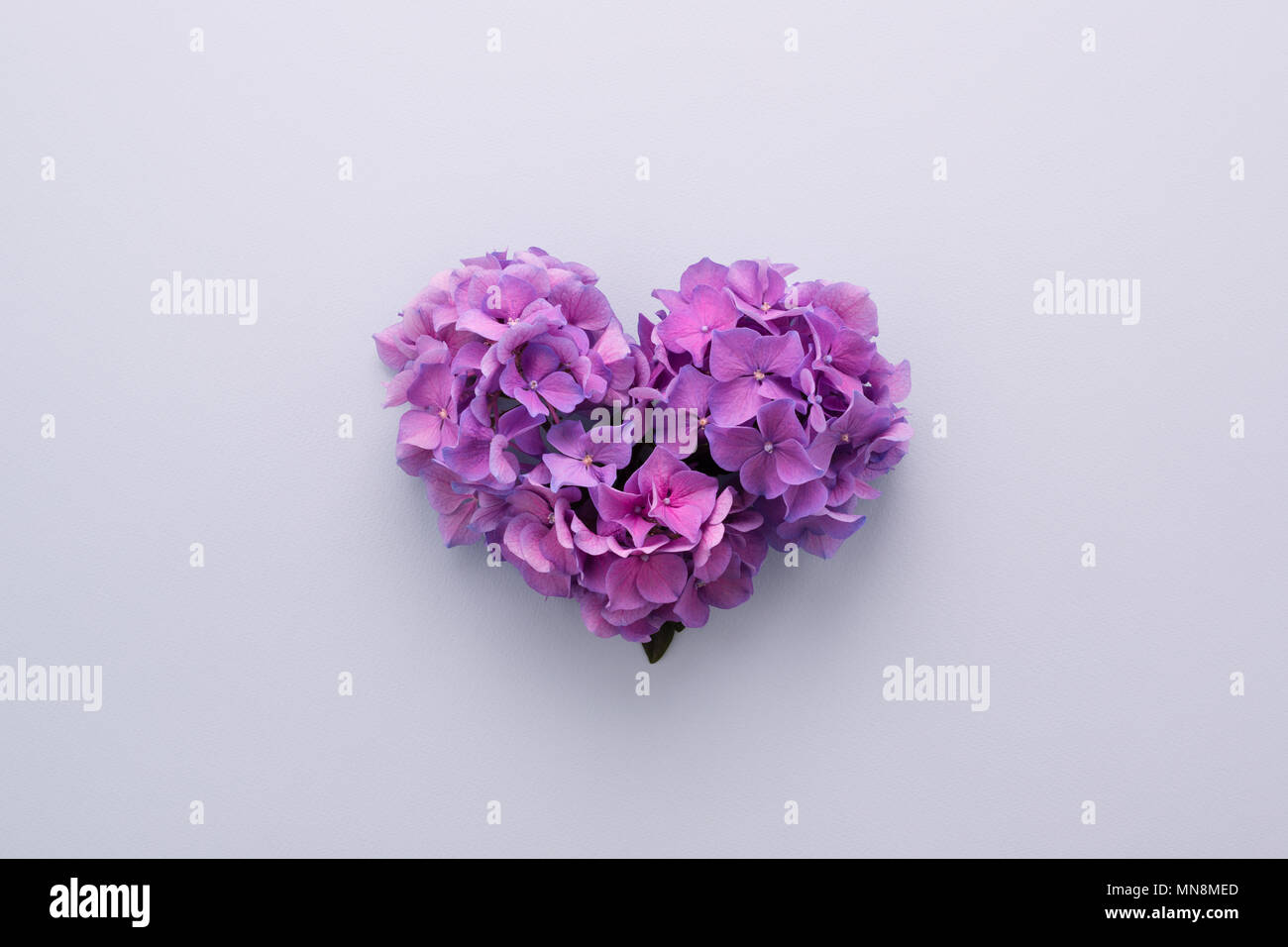 Heart shape made of purple flowers on lilac background. Gradient ultra violet colors palette. Love symbol. Top view Stock Photo