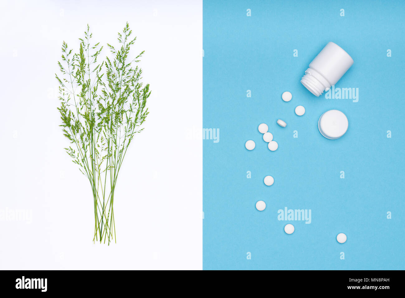 Allergy. Allergens, antihistamin pills, seasonal allergies. Minimal