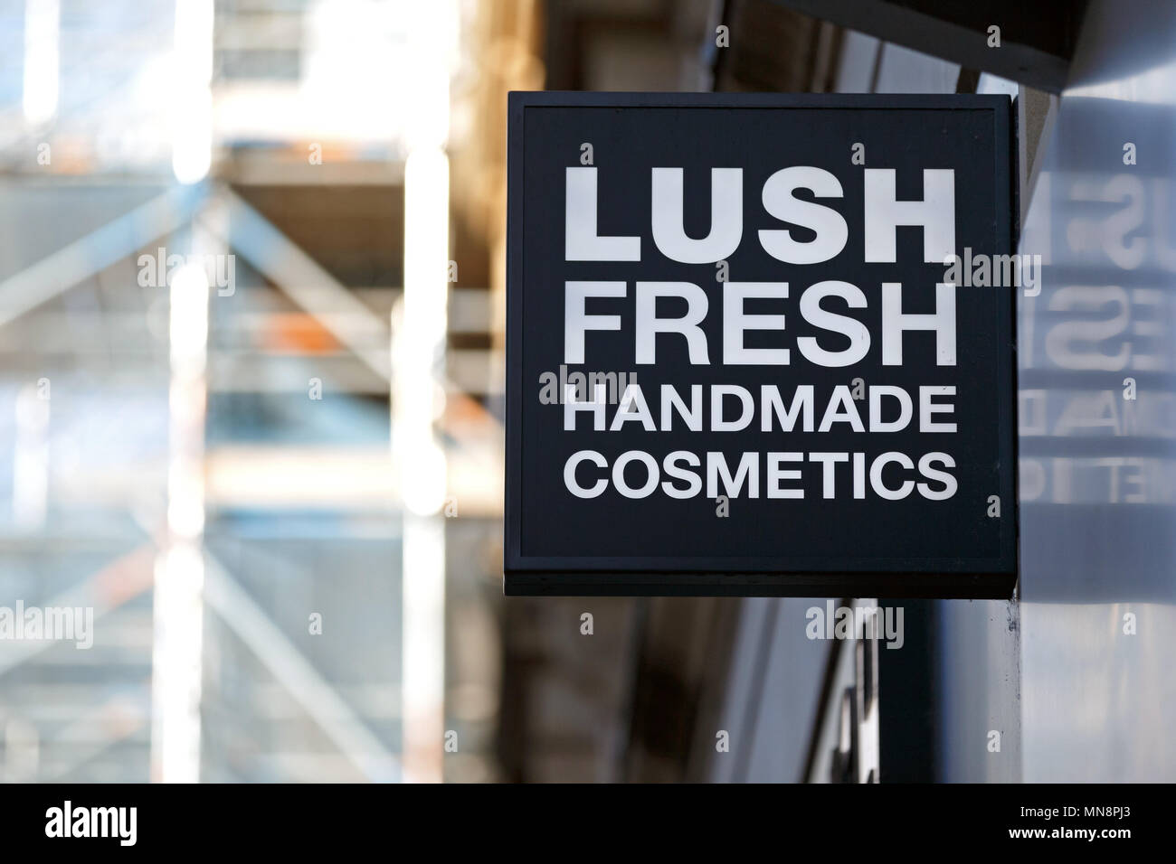 lush logo - Google Search  Lush cosmetics, Handmade cosmetics, Lush  products