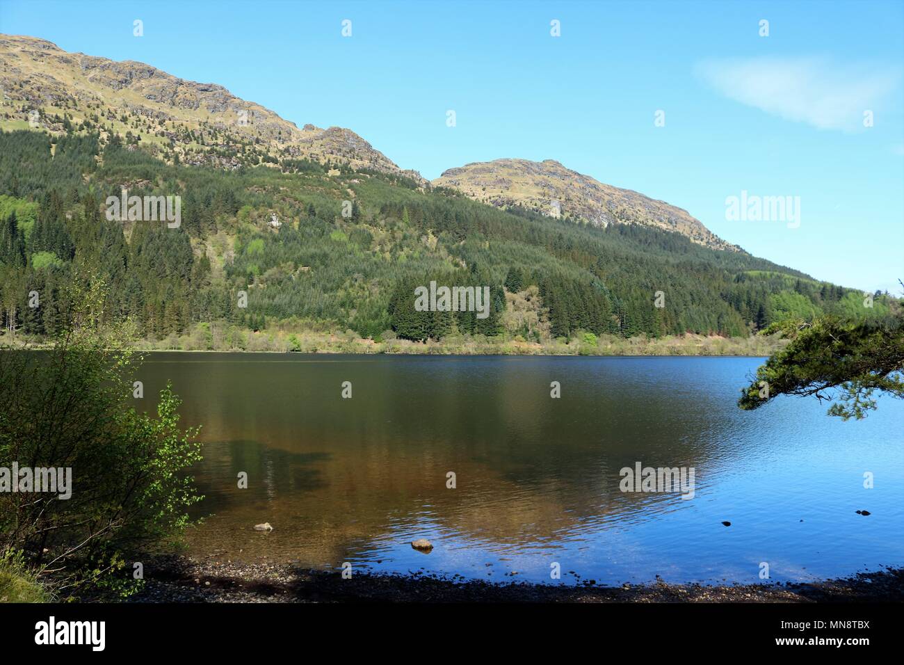 Beautiful Loch Eck, Scotland, UK on a clear sunny day showing water and
