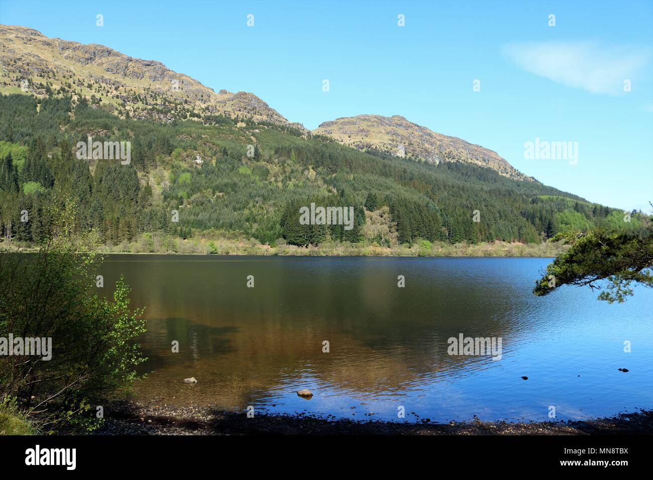 Beautiful Loch Eck, Scotland, UK on a clear sunny day showing water and ...