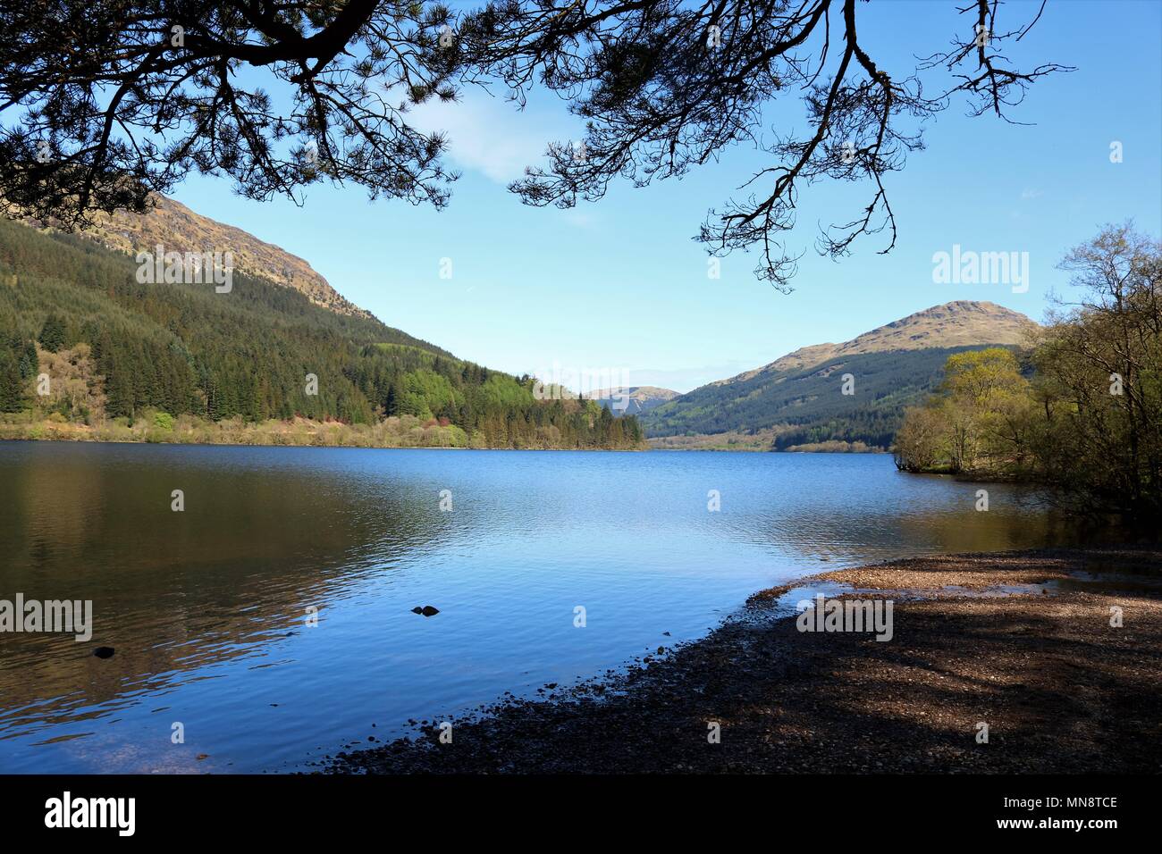 Beautiful Loch Eck, Scotland, UK on a clear sunny day showing water and
