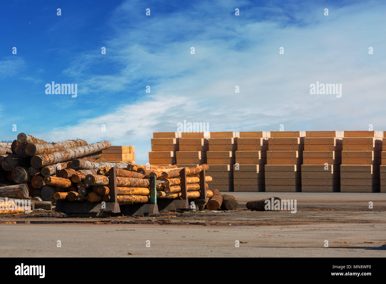 Tree logs and plywood products at Lumber Mill in Rainier Oregon Stock Photo Alamy