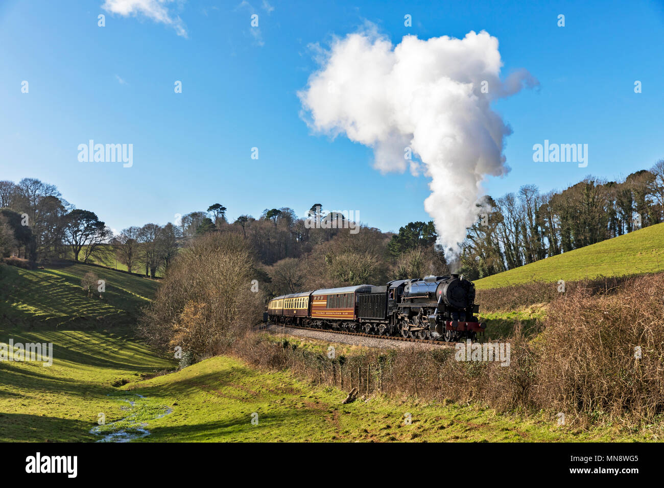 Paignton & Dartmouth Railway Stock Photo