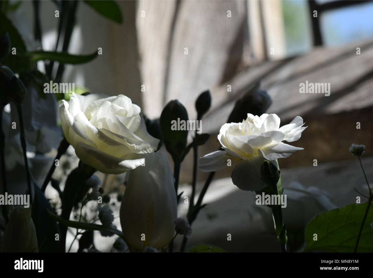 Artistic roses hi-res stock photography and images - Alamy