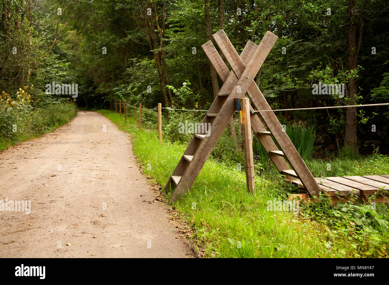 A stile is a ladder over a fence. Stock Photo