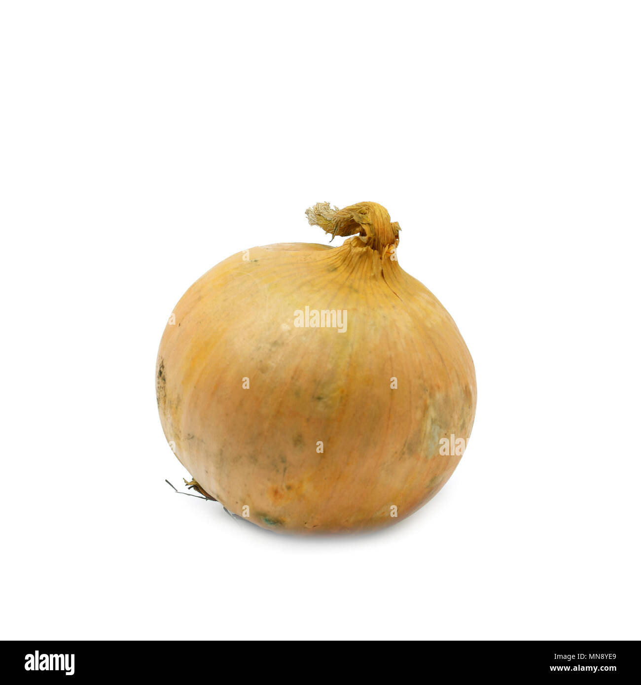 A yellow onion isolated on white background Stock Photo - Alamy
