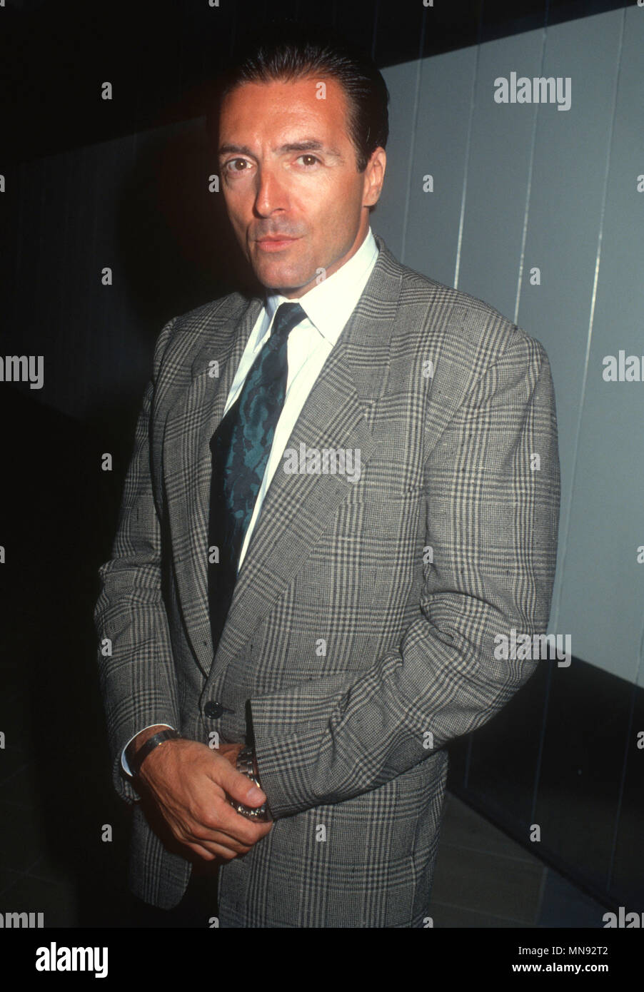 LOS ANGELES, CA - AUGUST 20: Actor Armand Assante attends screening of 'Eternity' on August 20, 1990 in Los Angeles, California. Photo by Barry King/Alamy Stock Photo Stock Photo