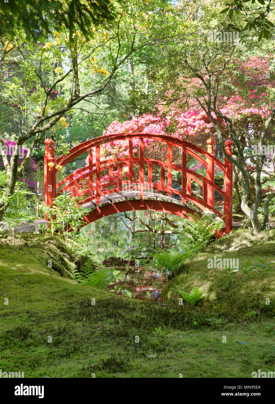 japanese garden with red bridge in the hague Holland in the open for public park called landgoed clingendael Stock Photo