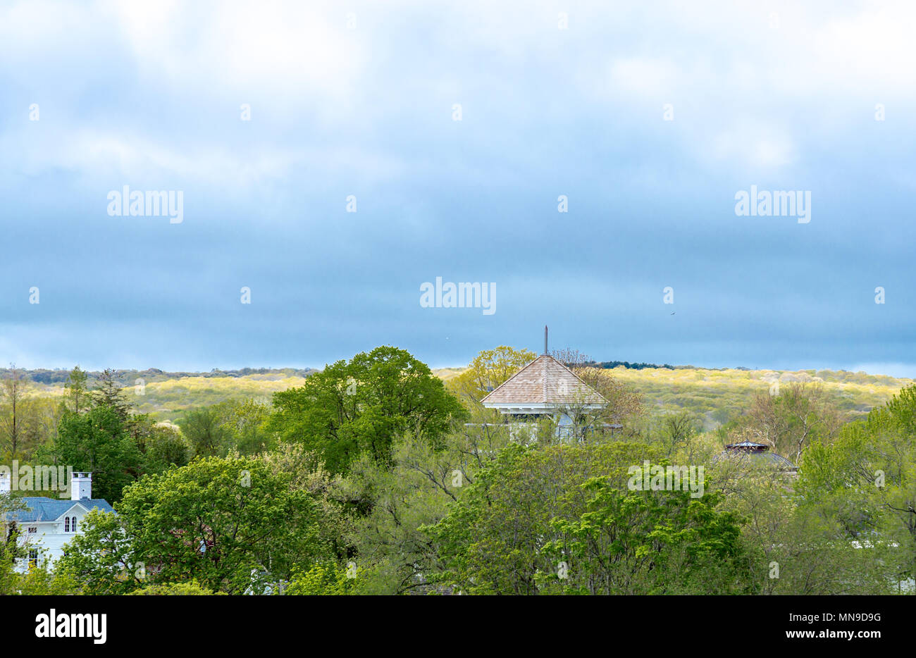 image shot from the tops of tree of sag harbor with steeple and the tops of trees Stock Photo