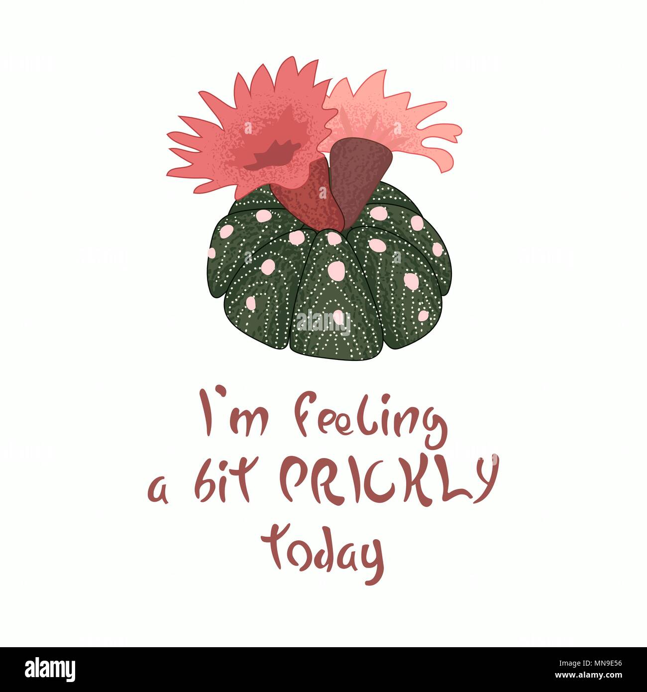 Hand written lettering Message slogan I'm feeling a bit prickly today with blooming cactus image. Pinlk red flower. Stock Vector