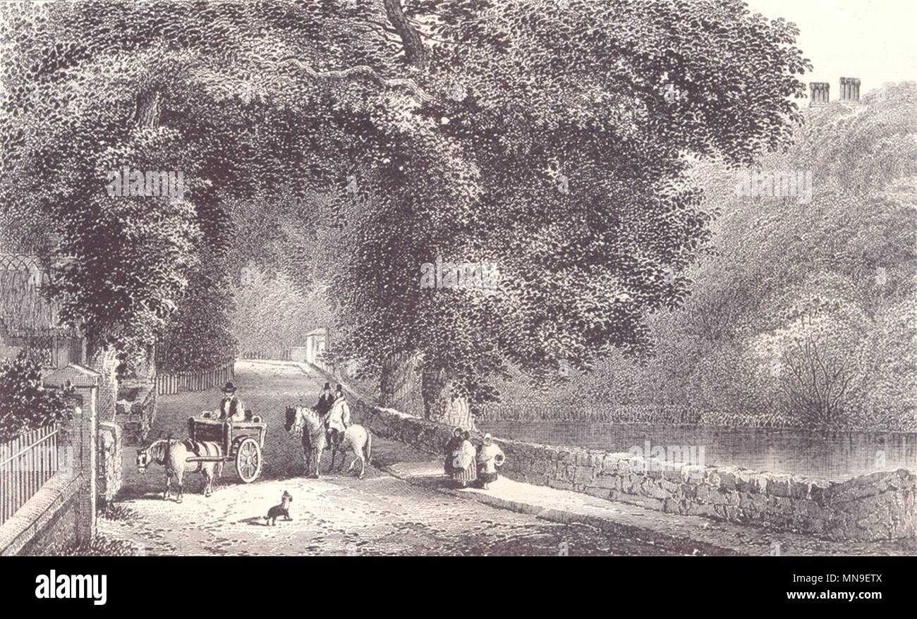 ISLE OF WIGHT. Bonchurch Pond. Horse & cart. Horses. 1864 old antique print Stock Photo