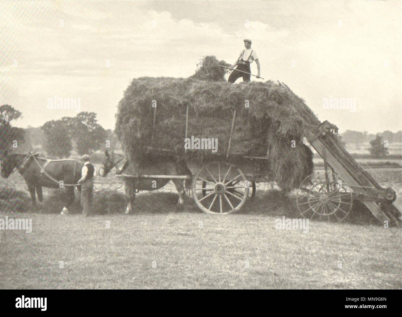FARMING.Haymaking Machinery – II;Hay Loader Operation;Finish(9 minutes) 1912 Stock Photo