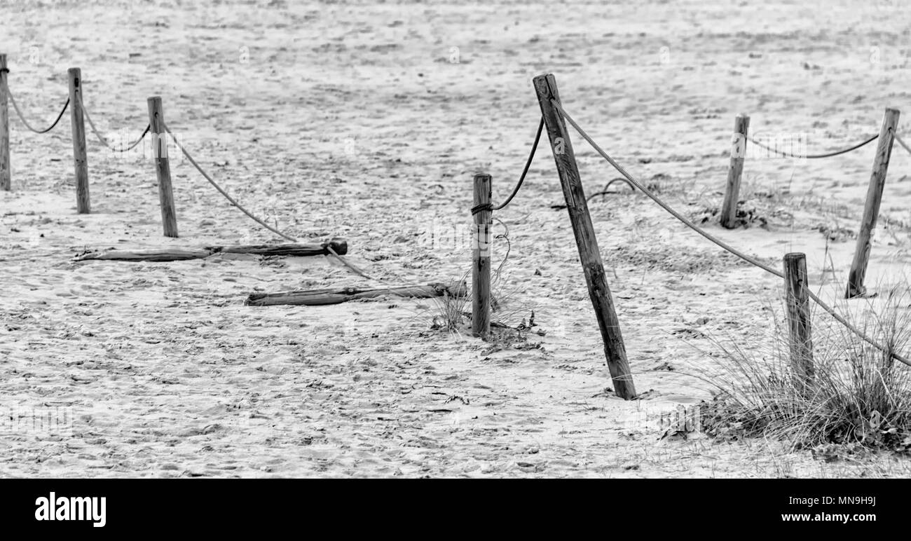 Natural fence Black and White Stock Photos & Images - Alamy
