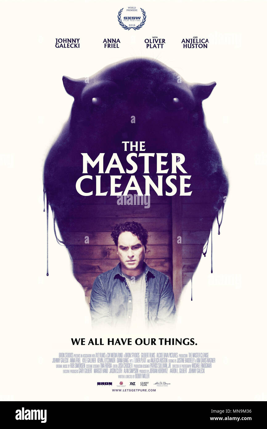 THE CLEANSE, (aka THE MASTER CLEANSE), poster, Johnny Galecki, 2016