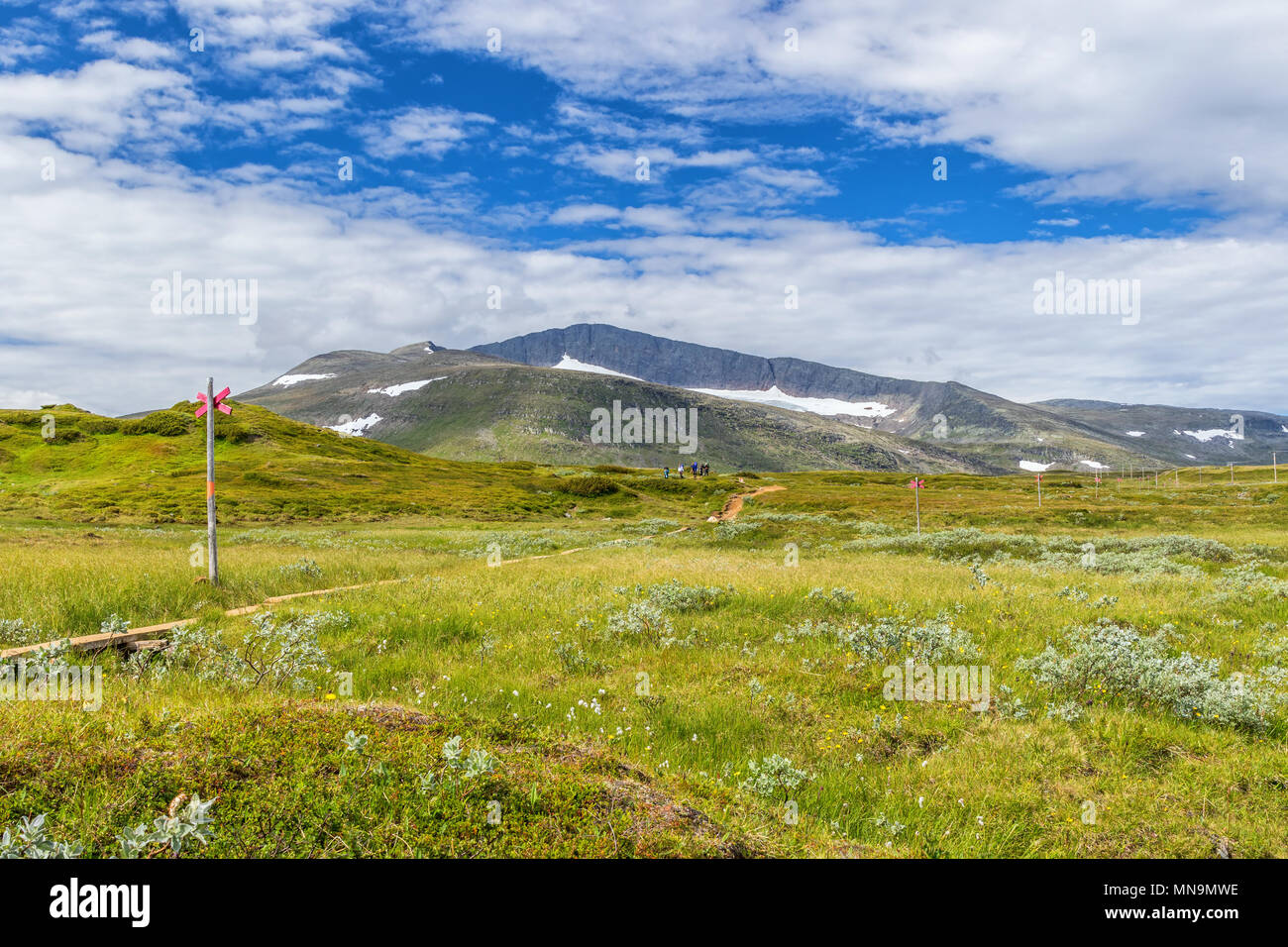 Hiking in Helags mountain in the summer in Sweden Stock Photo